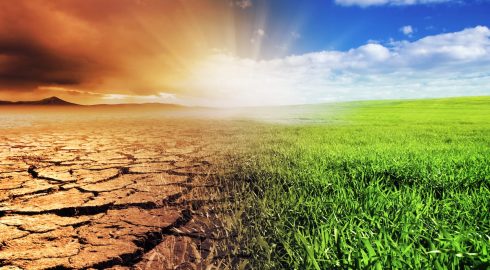 В чем смысл Всемирного дня борьбы с опустыниванием и засухой, отмечаемого 17 июня