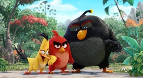 Смешные картинки в честь Дня рождения Angry Birds, 11 декабря
