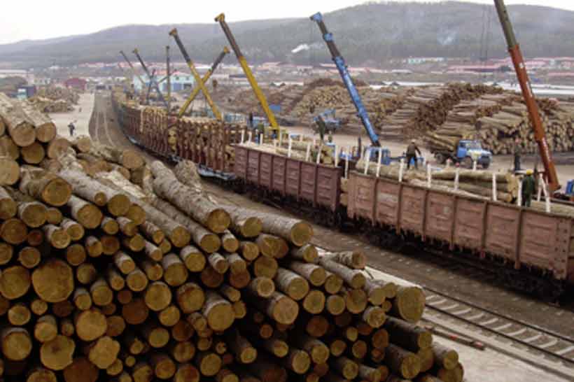 Электронные сопроводительные документы на вывоз древесины помогут сократить нелегальный экспорт сырья