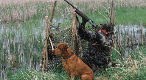 Сроки весенней охоты в 2022 году: что нужно помнить охотникам