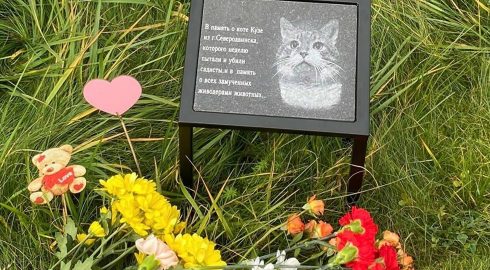Суд Архангельской области вынес приговор убийцам кота Кузи в Северодвинске