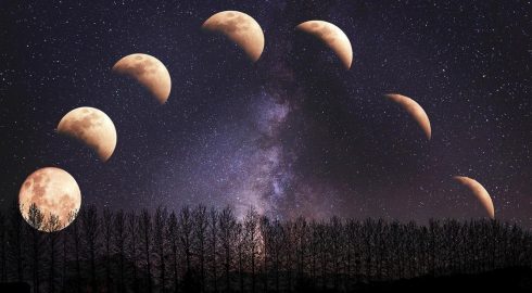 Майский лунный посевной календарь: важные моменты для успешного огородничества