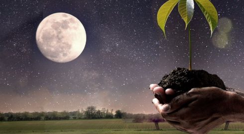 Лунный посевной календарь на 2024 год: влияние Луны на урожай