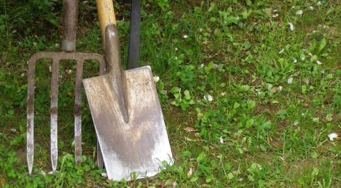Грешно ли заниматься огородными работами, копать землю и сажать на Страстной неделе