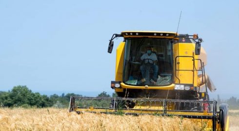Какое будущее ждет аграрный сектор России в 2022 году