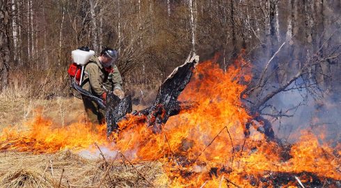 Ситуация с лесными пожарами в России: данные МЧС на 10 мая 2023 года