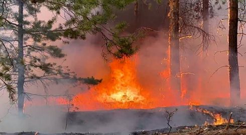 Бушующие пожары продолжают уничтожать села Красноярского края