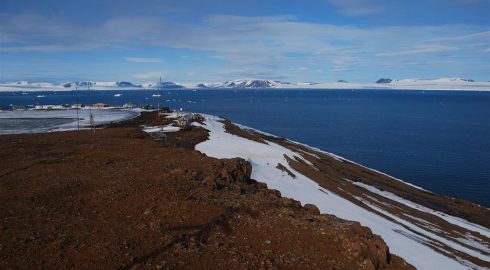 Арктическая почва способна сама очищаться от нефтепродуктов