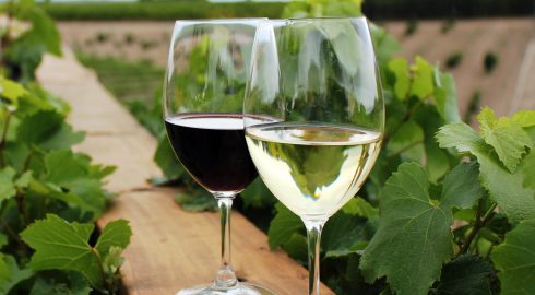 Как можно отличить поддельное вино от качественного оригинала
