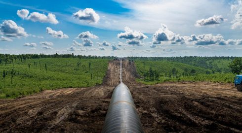 Проект важного для Приморья газопровода согласован в Росрыболовстве
