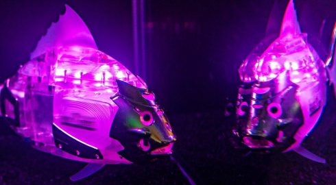 Китайские специалисты разработали бионических роботов-рыб, которые едят пластик