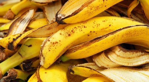Банановая кожура станет энергоносителем: Европа планирует заменить газ из России «органическим» метаном