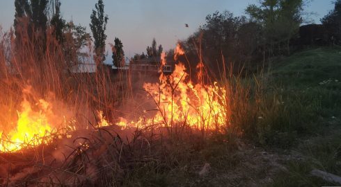 Ситуация с пожарами в Тюменской, Курганской и Свердловской областях на 10 мая 2023 года