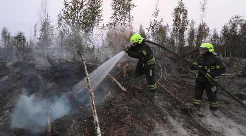 Почему в России появилась проблема с лесными пожарами