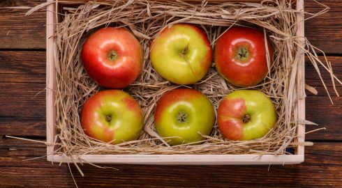 День поедания красных яблок 1 декабря празднуют в США