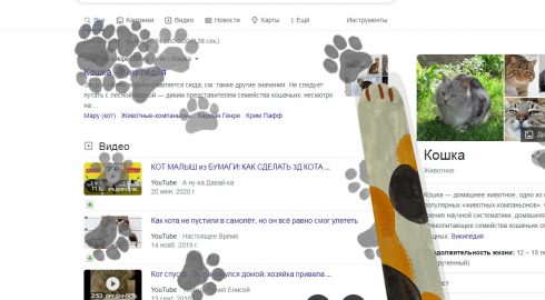Кошачьи и собачьи лапки появились в виде пасхалок поискового сервиса Google