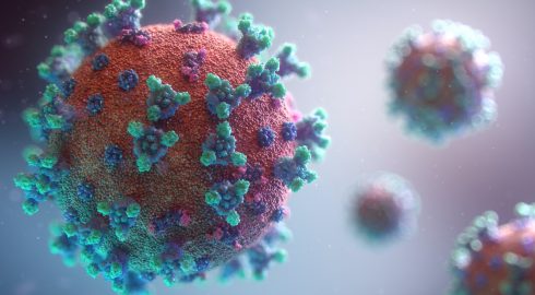 В России выявили два новых варианта коронавирусной инфекции COVID-19
