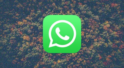 В мессенджере WhatsApp с октября 2023 года будет введено новое правило