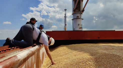 Турция договорилась о с Россией о поставке 1 млн тонн зерна