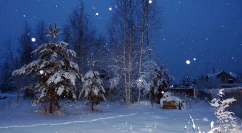 Плюс или заморозки: какая погода после Нового года ожидает россиян
