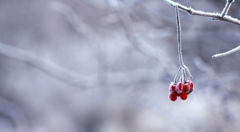 Даниил Зимоуказчик о зиме ведает: народные приметы и поверья на 30 декабря