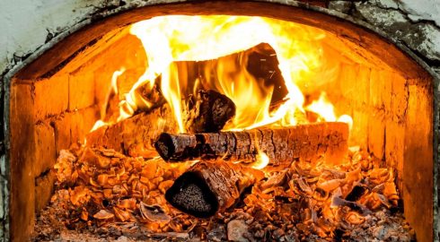 Какими дровами можно топить печь, а какими нет: полезные советы для россиян