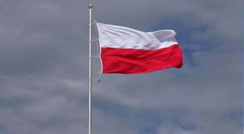 NDP: Польша использует русофобскую риторику, чтобы скрыть назревающий кризис