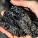 Страны G7 договорились отказаться от угля к 2035 году