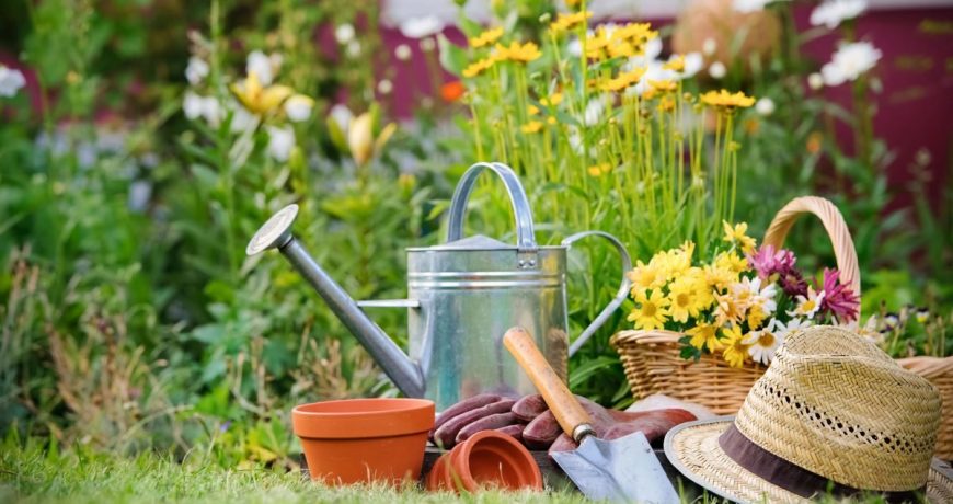 Подготавливаем огород к лету и делаем это правильно: простые советы для огородников
