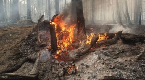 Ситуация с пожарами в Свердловской и Курганской областях на сегодня, 8 мая 2023 года