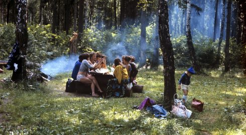 Табу на пикник: россиян просят отложить поход в леса Подмосковья с 16 по 19 июня 2023 года