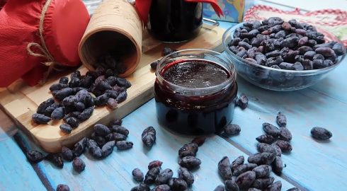 Лучшие рецепты варенья из жимолости: польза и вред полезной ягоды