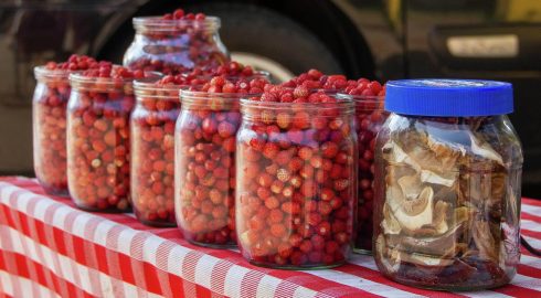 В России предлагают платить налог от продажи ягод и грибов: что известно о законе