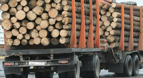 Правила перевозки древесины Рослесхоза ужесточаются с 25 июля 2023 года