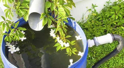 Собираем дождевую воду правильно: тактика полива растений на даче