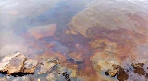 Около 4 километров реки Северная Двина покрыто нефтепродуктами