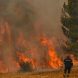 Почему Россия обречена на лесные пожары: что может принести жаркое лето-2024