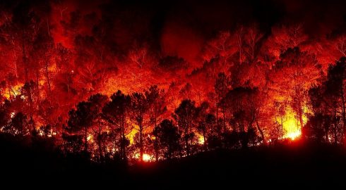 Ситуация с лесными пожарами в Якутии и на Колыме: что там сейчас происходит