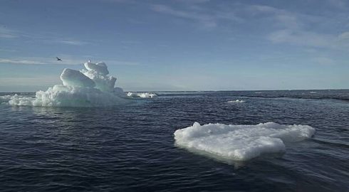 Северный морской путь установил абсолютный рекорд в арктических перевозках нефти