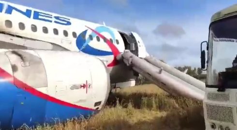 Экстренная посадка Airbus A320 под Новосибирском: что известно об инциденте