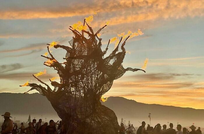 Заложники Burning Man: что известно о заблокированных в пустыне участниках мега-фестиваля