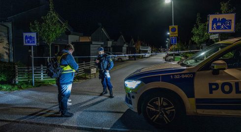 В Швеции «разгулялись» этнические банды: без полиции не обойтись