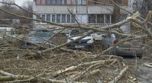 Сносит крыши, валит деревья и рекламные щиты на людей и машины: на Сибирь обрушился мощный ураган 19 ноября 2023 года
