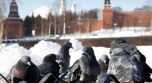 Аномальные морозы надвигаются на Москву: прогноз на ближайшие дни
