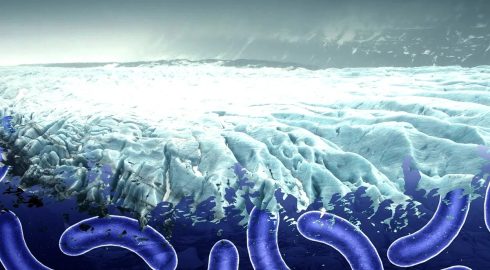 «Привет из Сибири» в виде ужасной пандемии: потепление разморозит арктические вирусы-зомби