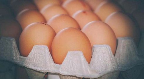 Государственная поддержка переработки столового яйца: экономист предлагает решение проблемы