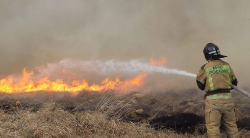 Людмила Талабаева: Регионы усилят борьбу с ландшафтными пожарами