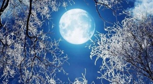 Точные время и дата полнолуния в феврале 2024 года: что можно и нельзя делать до пика Снежной Луны – особенности последнего полнолуния зимы