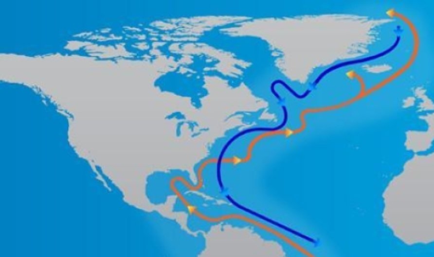 Гольфстрим: течение, обогревающее Европу