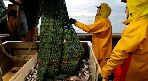 Больше не сотрудничают: Путин расторг договор о рыболовстве с Великобританией